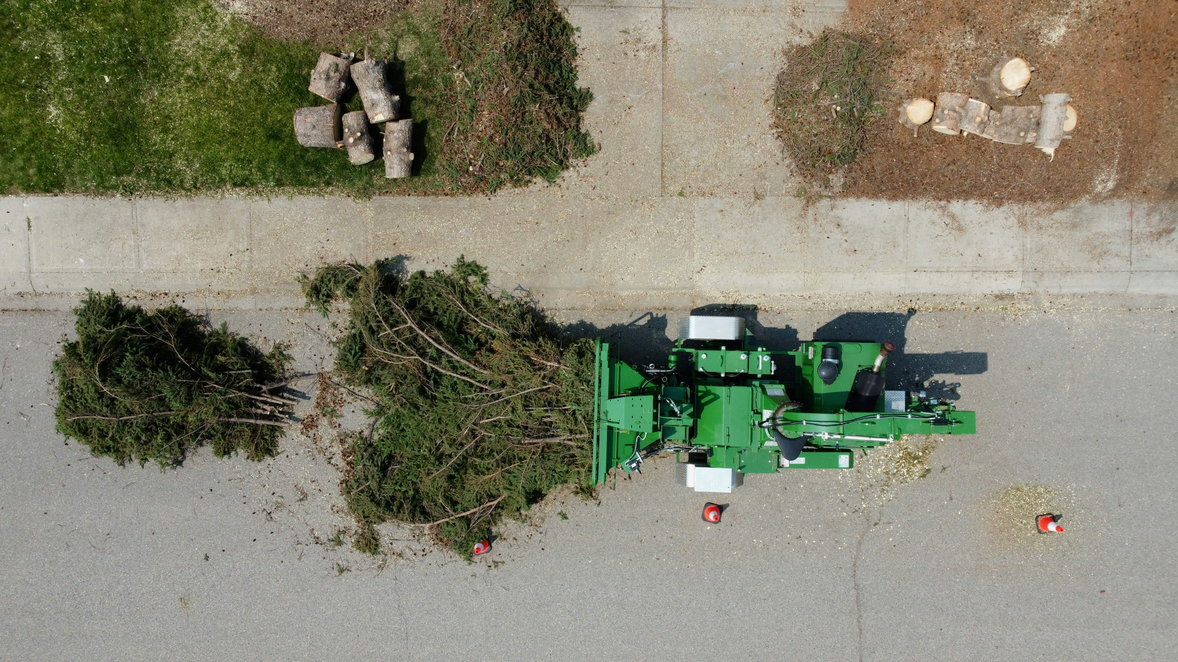 Stump grinding and root removal in Austin
