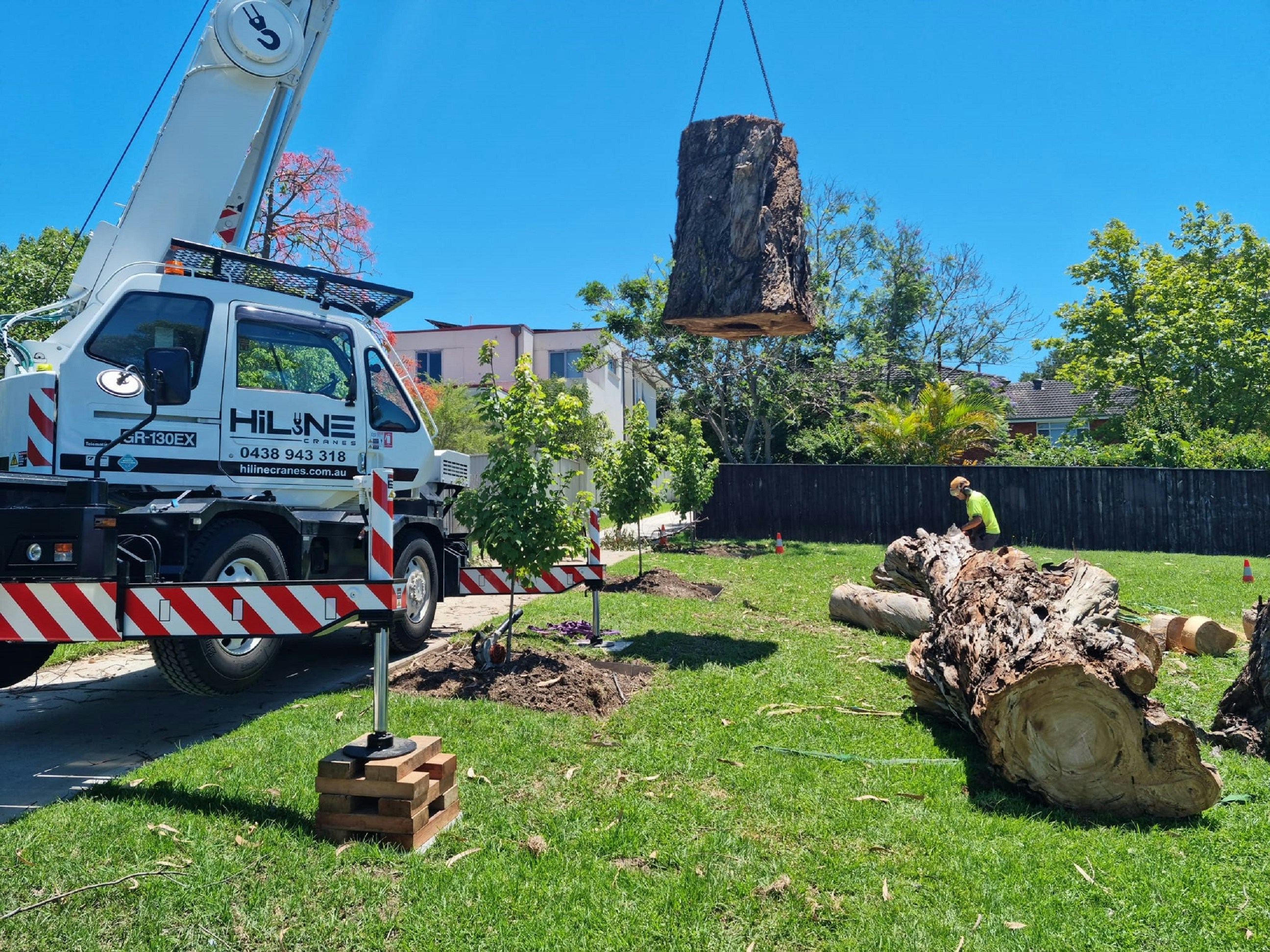 Professional tree removal crew in Austin, Texas